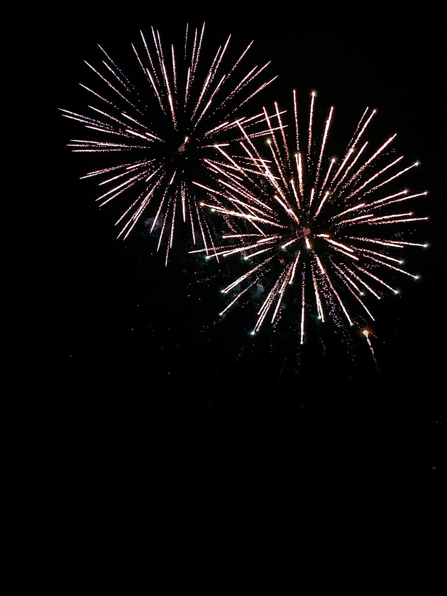 Two fireworks bursting against a black night sky