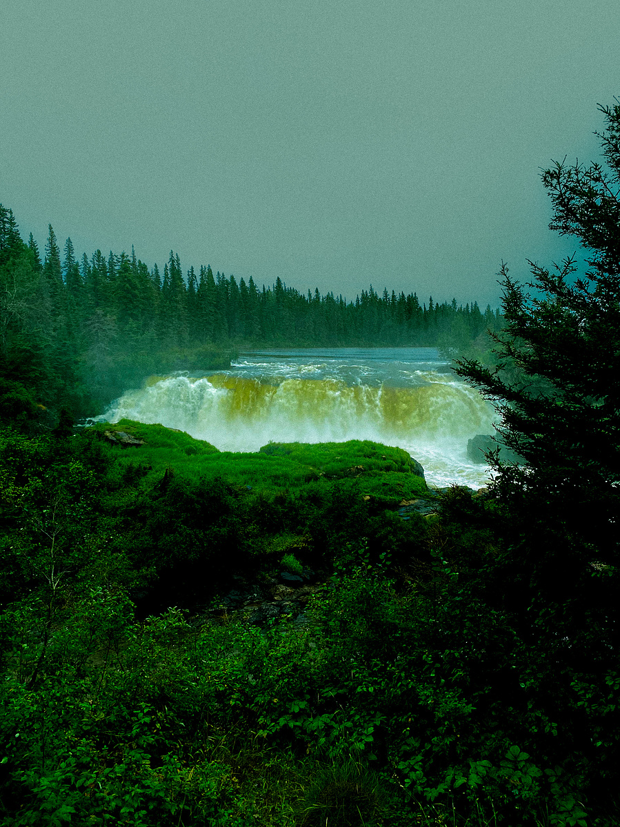 Waterfall framed by dark spruce trees
